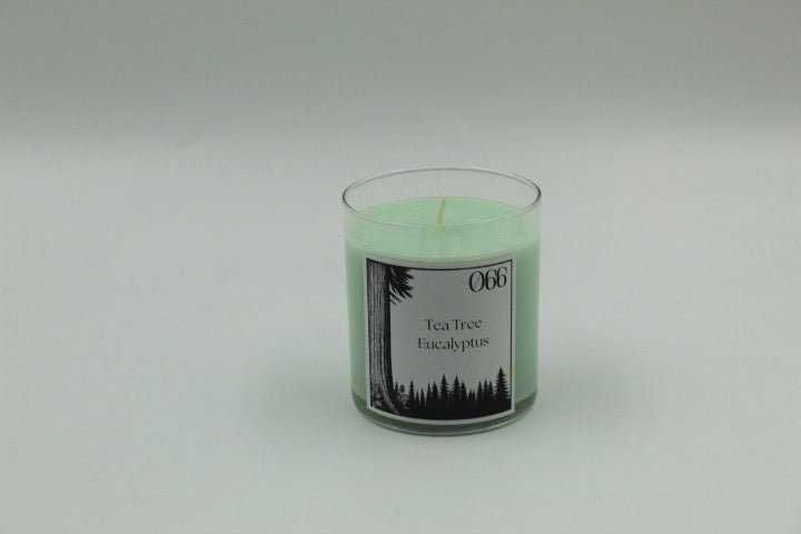 #066 - Tea Tree, Eucalyptus