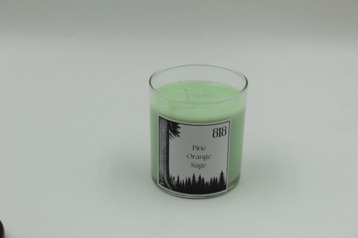 #818 – Pine · Orange · Sage